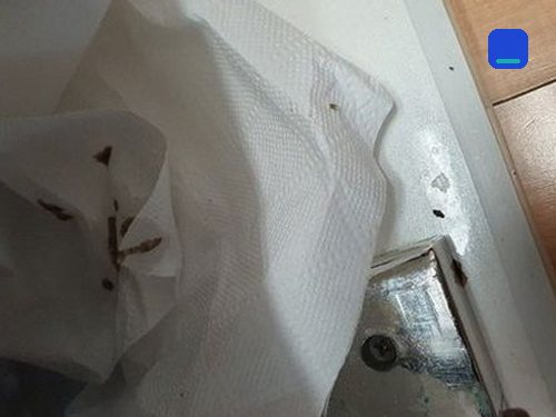 강남구 · 통화 상담 이용 고객 글 사진